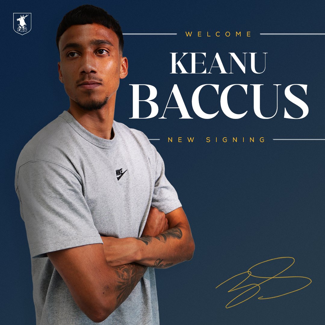 Mansfield Town FC tweet media