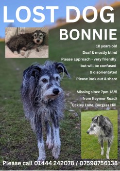 MissingPetsGB's tweet image. 🐕 #URGENT BONNIE has been missing since 7pm Saturday night 18 May 2024
Owner believes she got out of the garden on Keymer road / Ockley Lane, Burgess Hill #WestSussex #RH15
Hugely loved - 18 year old - family dog, totally deaf &amp;amp; half blind. Please share! doglost.co.uk/dog-blog.php?d…