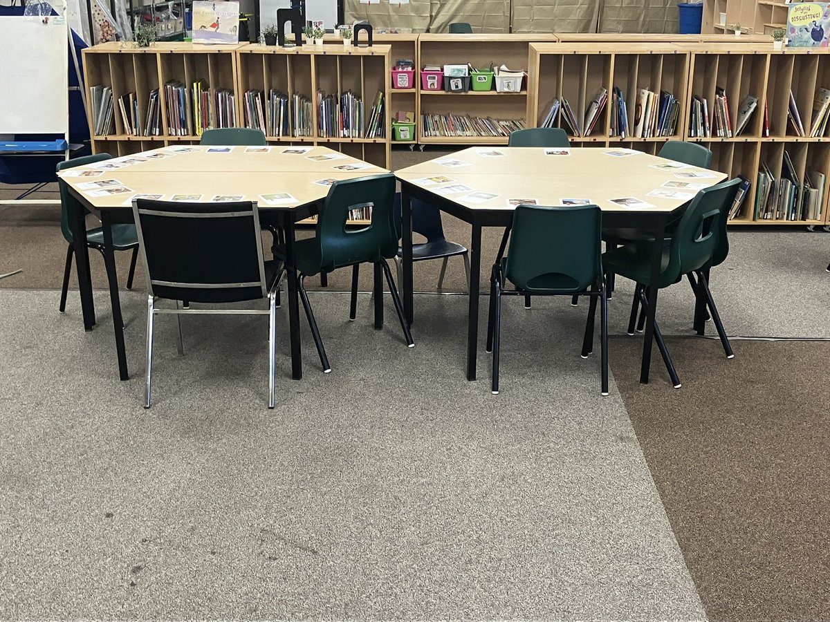 𝘼𝙫𝙞𝙫𝙖 𝘿𝙪𝙣𝙨𝙞𝙜𝙚𝙧 tweet media