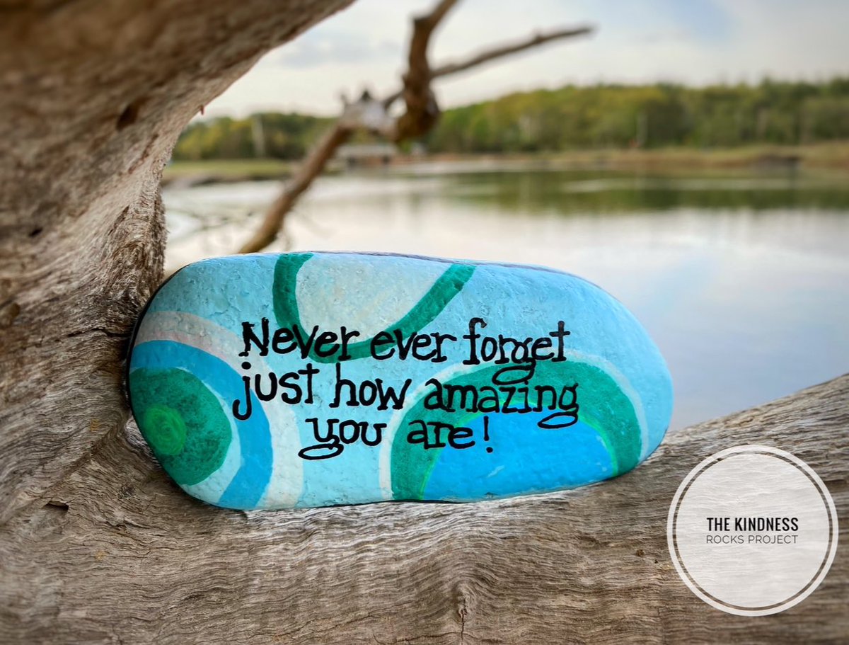 Please don’t you ever forget that!
#thekindnessrocksproject