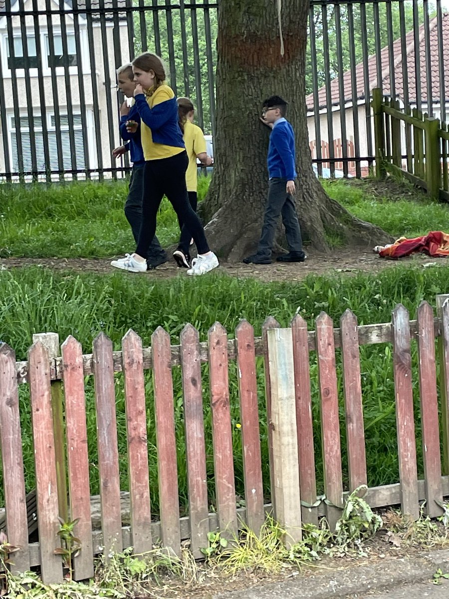 MrsWilson_MHP's tweet image. We enjoyed @microbit_edu code along this morning 🌱 🌳 🦔