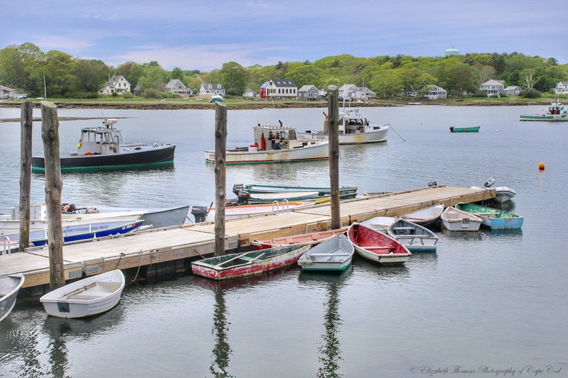 ElizThomasPhoto's tweet image. HARPSWELL MAINE Photography - Harbor of Boats - New England Fishing Lobstering Atlantic Ocean Travel Coastal Landscape Scenic Liz Thomas tuppu.net/21a7f049 #ElizabethThomasPhoto #Etsy #Harpswell