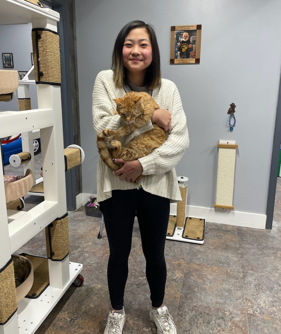 Auberon has left the building! 🎉 He was a participant of our Forever Foster a Feleuk Kitty program, and now he has a forever home to call his own. Happy tails, Auberon!