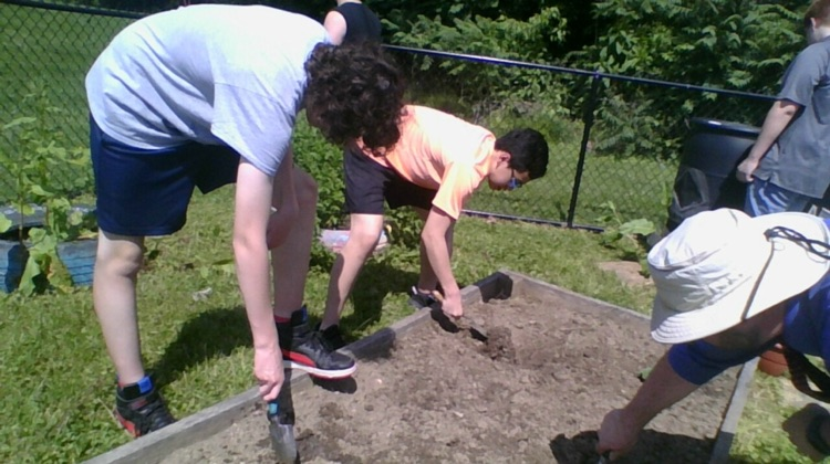 BSMSDevils's tweet photo. BSMS Gardening has completed the planting stage of butternut squash for next year and has received their certificate for the completion of their Plant the Moon project! https://t.co/BlJeg9ILL4