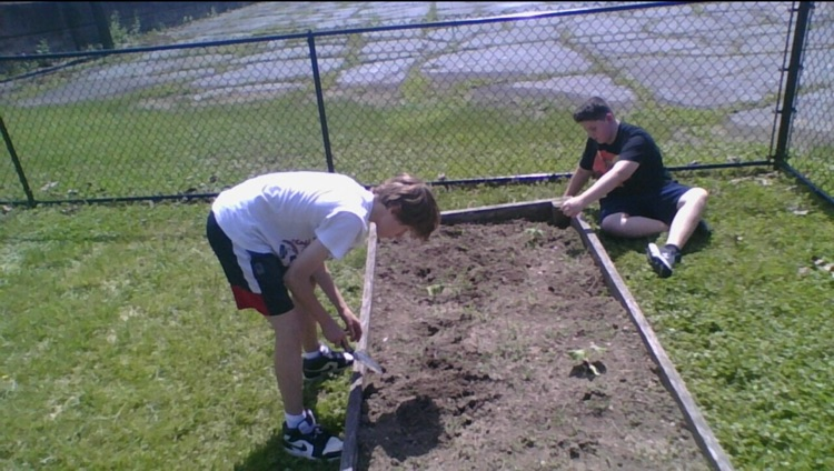 BSMSDevils's tweet photo. BSMS Gardening has completed the planting stage of butternut squash for next year and has received their certificate for the completion of their Plant the Moon project! https://t.co/BlJeg9ILL4