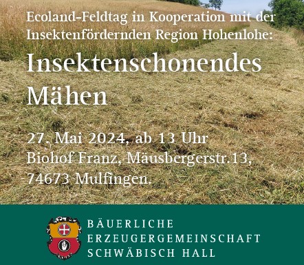 LIFE IFR – Insektenfördernde Regionen (@life_ifr) on Twitter photo 📢Einladung zum #Feldtag am 27. Mai in #Mulfingen in der "insektenfördernde Region #Hohenlohe"! Thema ist "insektenschonende Grünland-Mahd". Anmeldungen sind willkommen unter insektenfoerdendes-hohenlohe@besh.de, mehr Infos unter insect-responsible.org/veranstaltunge… 📢Einladung zum #Feldtag am 27. Mai in #Mulfingen in der "insektenfördernde Region #Hohenlohe"! Thema ist "insektenschonende Grünland-Mahd". Anmeldungen sind willkommen unter insektenfoerdendes-hohenlohe@besh.de, mehr Infos unter insect-responsible.org/veranstaltunge…