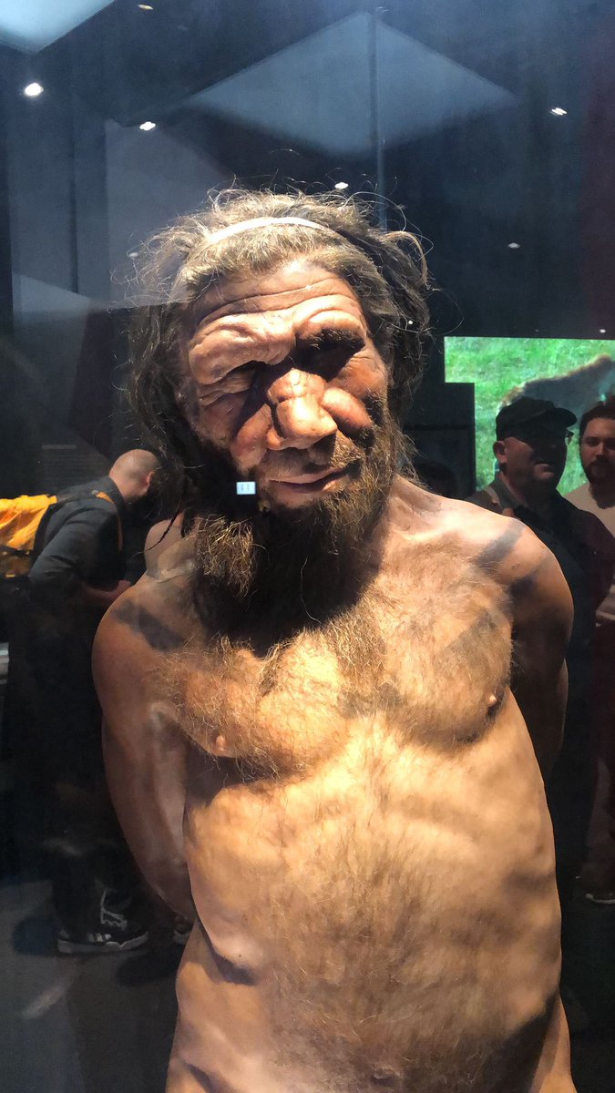 dagcioztek's tweet photo. @Zeus_yucegod 1 hafta önce gezdiğim Londra National history müzesindeki Neandertal örnekleri. https://t.co/EqGI6PHjz8