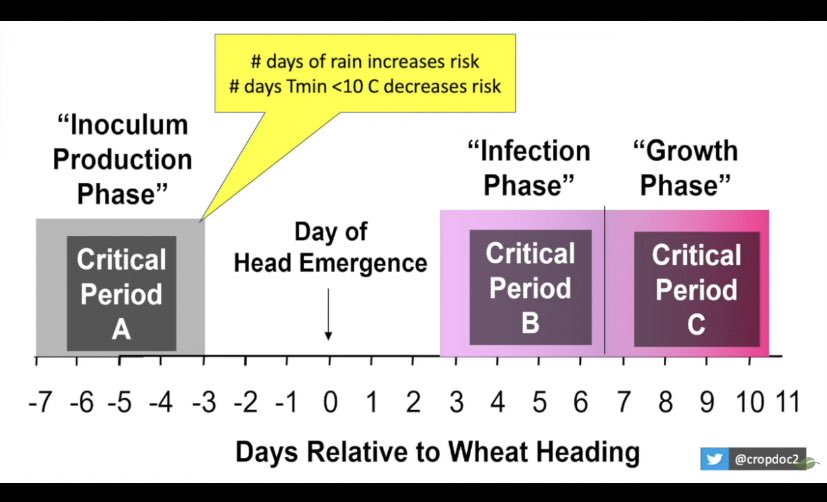 Joanna Wallace 🌸 (@joannamwallace) on Twitter photo 2024 is providing a double threat for all this great looking wheat. <a href="/cropdoc2/">Dave Hooker</a> shows that we are in a prime inoculum production phase for fusarium and Stripe Rust continues to march across the province as the wind blows. Thankfully Miravis Ace covers both threats! 2024 is providing a double threat for all this great looking wheat. <a href="/cropdoc2/">Dave Hooker</a> shows that we are in a prime inoculum production phase for fusarium and Stripe Rust continues to march across the province as the wind blows. Thankfully Miravis Ace covers both threats!