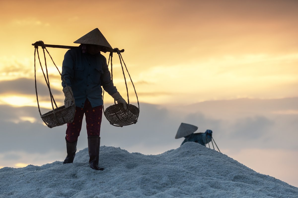 GM dear friends, happy Wednesday ❤️🍀

Salt lake workers in Ninh Diem, Vietnam, 2018