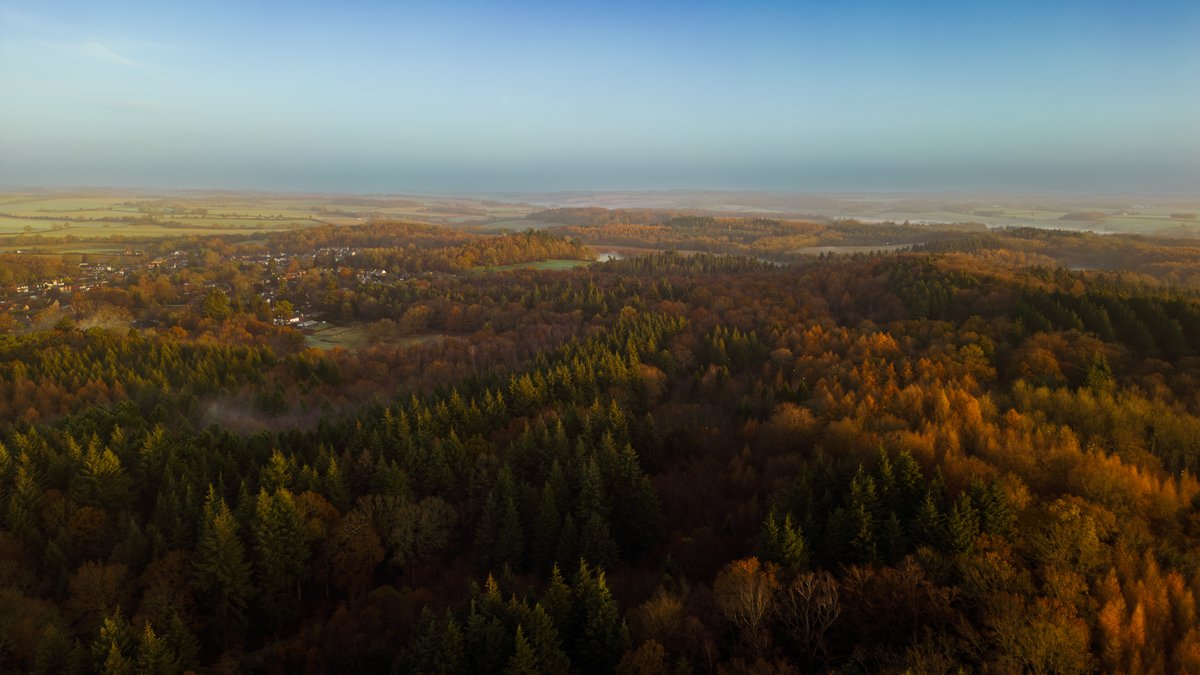 We are recruiting!

We are looking for someone to come and work here at Eling as an Estate Ranger and ideally a successor for one of our foresters who will retire in the coming few years.

Details below or contact me for information:

acrobat.adobe.com/id/urn:aaid:sc…

Pls Retweet