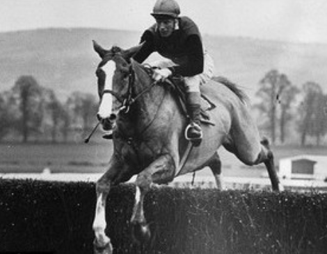 It's underrated racehorses Time A-Z Name an 'underrated' racehorse from any era beginning with the letter 'F' I'll kick it off today with ........FLYINGBOLT!!! Rated only 2lb behind the legendary ARKLE who is remembered as the greatest steeplechaser of all