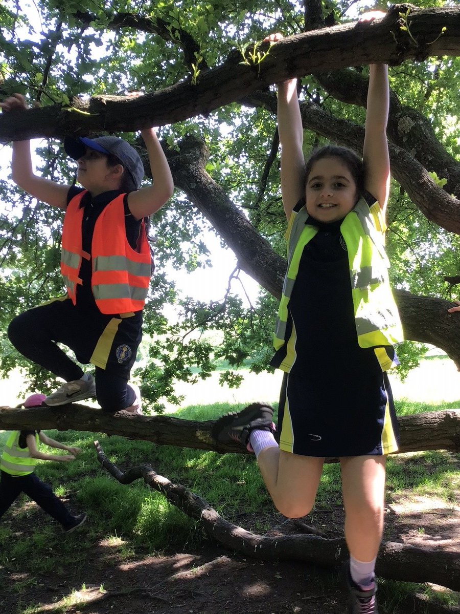 Year 4 enjoyed Monday's sunshine for an outdoor learning session on Hampstead Heath, climbing trees, making bug hotels and building dens. #openingdoors #mehrlicht