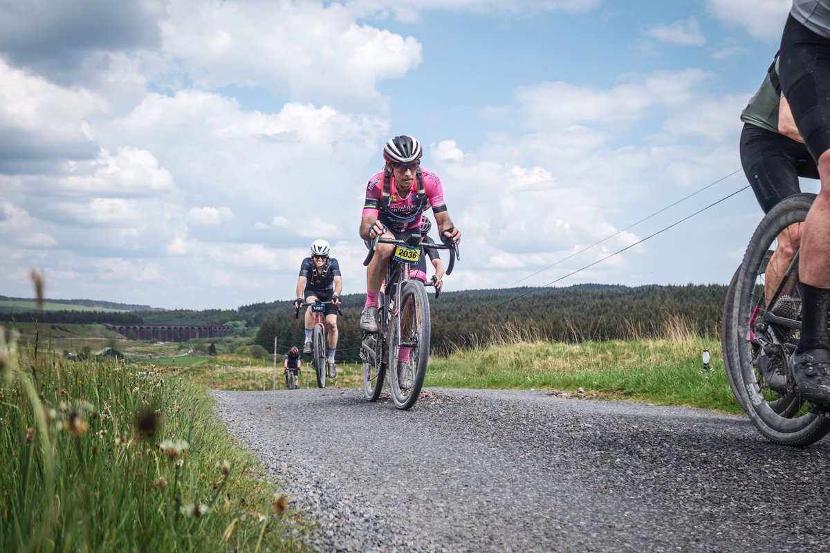 Prof Richard Davison tweet media