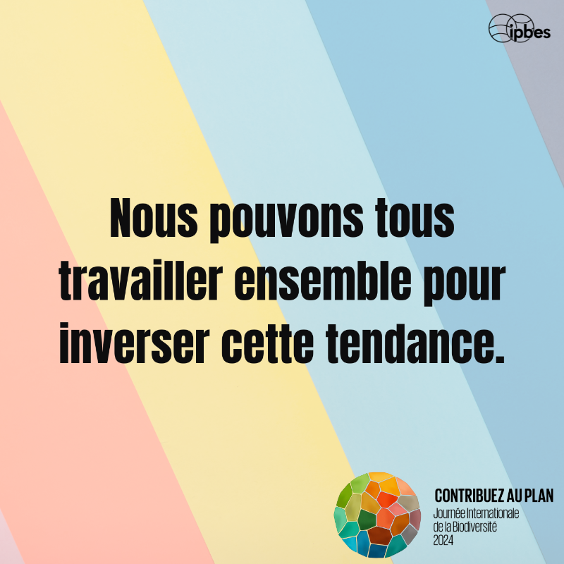 ipbesfr's tweet photo. Célébrez la #JournéeDeLaBiodiversité : agissez pour protéger &amp; restaurer la diversité naturelle de notre planète.🌎

La #biodiversité concerne les espèces menacées, mais vise aussi à préserver et restaurer les contributions de la nature aux personnes et à sécuriser notre avenir.