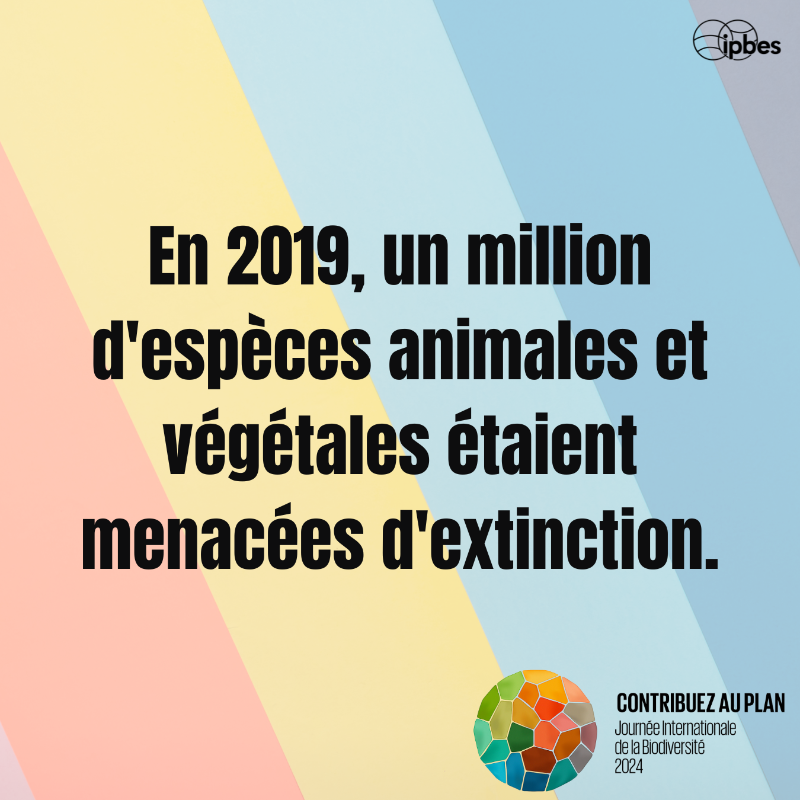 ipbesfr's tweet photo. Célébrez la #JournéeDeLaBiodiversité : agissez pour protéger &amp; restaurer la diversité naturelle de notre planète.🌎

La #biodiversité concerne les espèces menacées, mais vise aussi à préserver et restaurer les contributions de la nature aux personnes et à sécuriser notre avenir.
