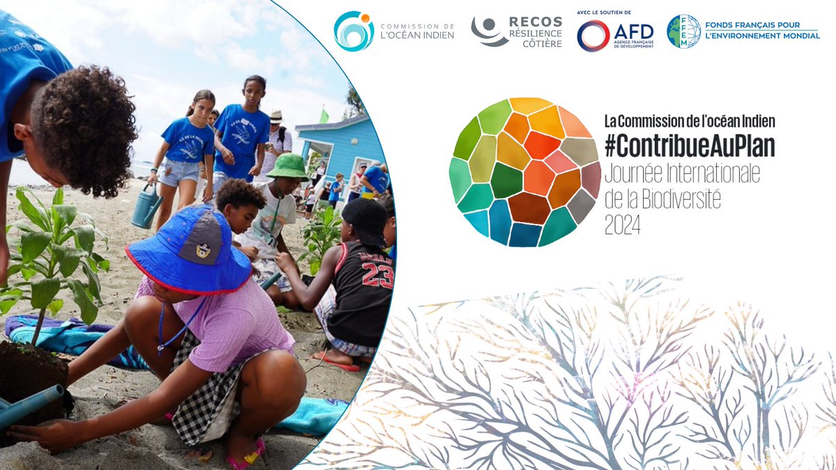 🗓️22 mai : Journée mondiale de la biodiversité ! 📌Thème : Faites partie du plan 🌿#RECOS soutient la conservation et la gestion durable des écosystèmes côtiers (mangroves et herbiers marins) de la région océan Indien occidental. 🤝@AFD_France et @FFEM_Fr