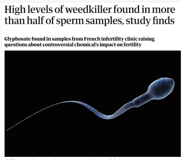 Kevin Folta (@kevinfolta) on Twitter photo Here's how <a href="/guardian/">The Guardian</a> fools its readers. <a href="/dr_andrealove/">Andrea C. Love, PhD</a> and I discuss the recent paper that implies tiny traces of herbicide are leading to world population decline. Just how high were "high amounts" and do they matter? #scicomm youtu.be/p1x7eB-idCc Here's how <a href="/guardian/">The Guardian</a> fools its readers. <a href="/dr_andrealove/">Andrea C. Love, PhD</a> and I discuss the recent paper that implies tiny traces of herbicide are leading to world population decline. Just how high were "high amounts" and do they matter? #scicomm youtu.be/p1x7eB-idCc