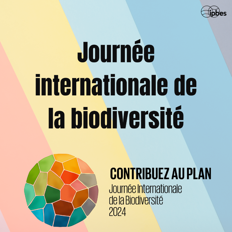ipbesfr's tweet photo. Célébrez la #JournéeDeLaBiodiversité : agissez pour protéger &amp; restaurer la diversité naturelle de notre planète.🌎

La #biodiversité concerne les espèces menacées, mais vise aussi à préserver et restaurer les contributions de la nature aux personnes et à sécuriser notre avenir.