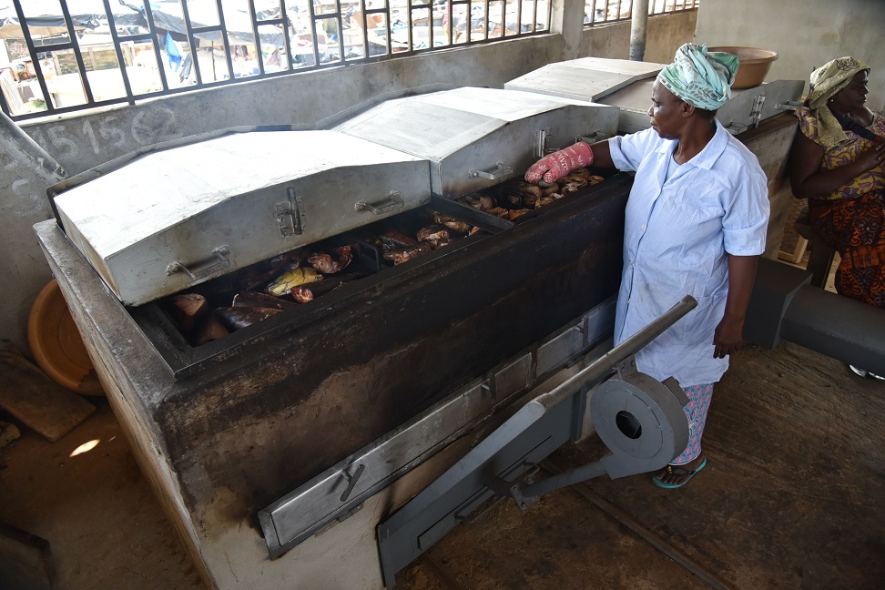 FAOSenegal's tweet photo. Du 22 au 25 mai 2024, #IPC_AO accompagne des vendeuses & transformatrices de poisson du Cabo Verde 🇨🇻et du Sénégal🇸🇳 en visite d'échange à #Abidjan🇨🇮 pour l'inauguration de la plateforme #FAOFTT construite au débarcadère de Sassandra
#CFIgef https://t.co/Qe017GuKo6