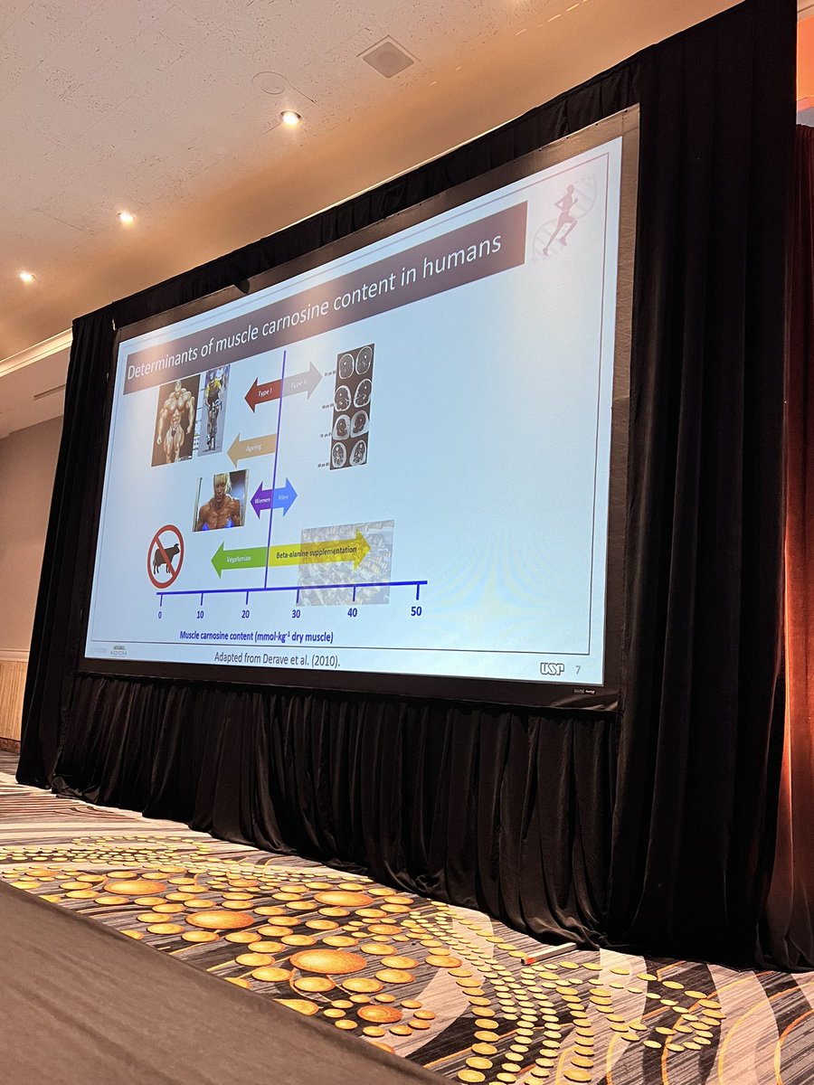 Brett Singer MS,RD,CSSD (@bsinger10) on Twitter photo Day 2: <a href="/Bicycle_Bryan/">Bryan Saunders</a> discussing all things beta-alanine at #CPSDA2024 , here highlighting determinants of muscle carnosine in humans. @fuelingvictory_ Day 2: <a href="/Bicycle_Bryan/">Bryan Saunders</a> discussing all things beta-alanine at #CPSDA2024 , here highlighting determinants of muscle carnosine in humans. @fuelingvictory_