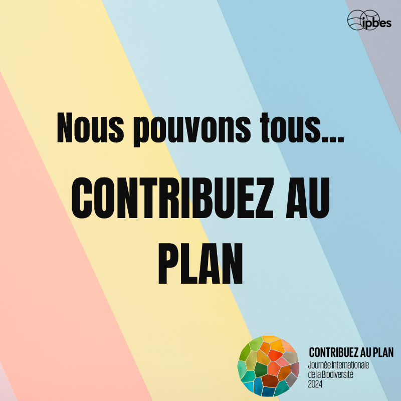 ipbesfr's tweet photo. Célébrez la #JournéeDeLaBiodiversité : agissez pour protéger &amp; restaurer la diversité naturelle de notre planète.🌎

La #biodiversité concerne les espèces menacées, mais vise aussi à préserver et restaurer les contributions de la nature aux personnes et à sécuriser notre avenir.