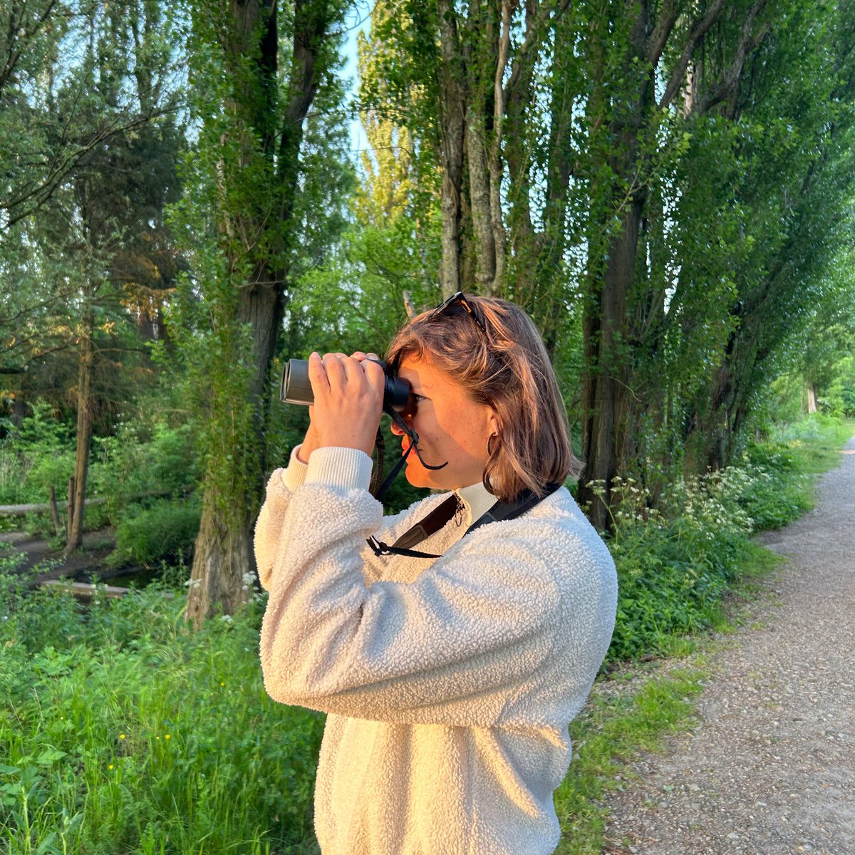 BIOBLITZ010 | Om 14:00 uur kan je in het Ruigeplaatbos in Hoogvliet meekijken door de ogen van een ecoloog! Ze gaan samen met jou het gebied hetkennen en nemen de het ecosysteem onder de loep. Zien we je daar? #bioblitz010⬇️
hetnatuurhistorisch.nl/bezoek/activit…