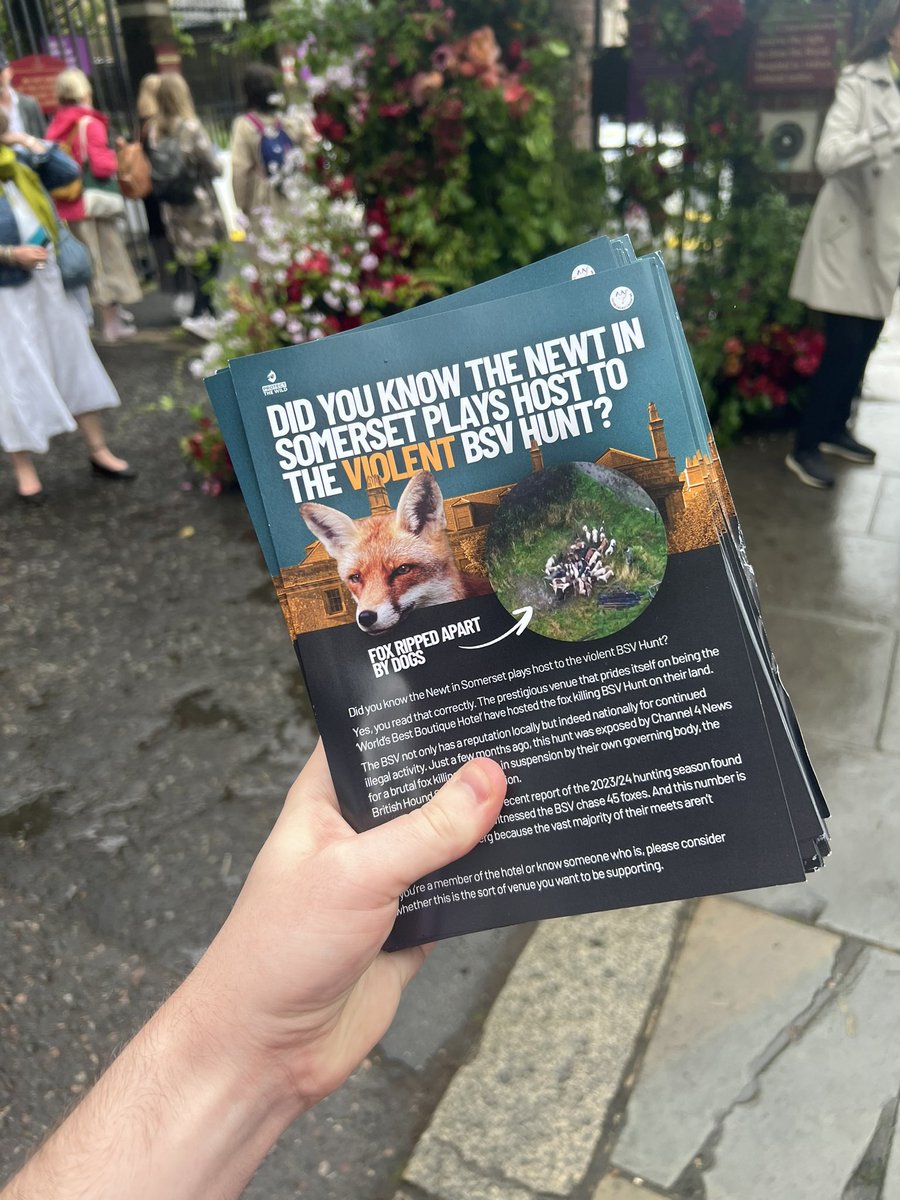 Handing out thousands of leaflets right now to those attending The Chelsea Flower show to let them know the headline sponsor, @thenewtsomerset allow hunts on their land!