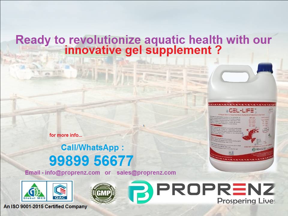 Ready to revolutionize aquatic health with our innovative gel supplement ?
Gel-Life enhances aquaculture by efficiently delivering supplements, stable digestion, fostering probiotic environments, boosting immune defenses, &amp; ensuring sustainable and thriving aquatic ecosystems.