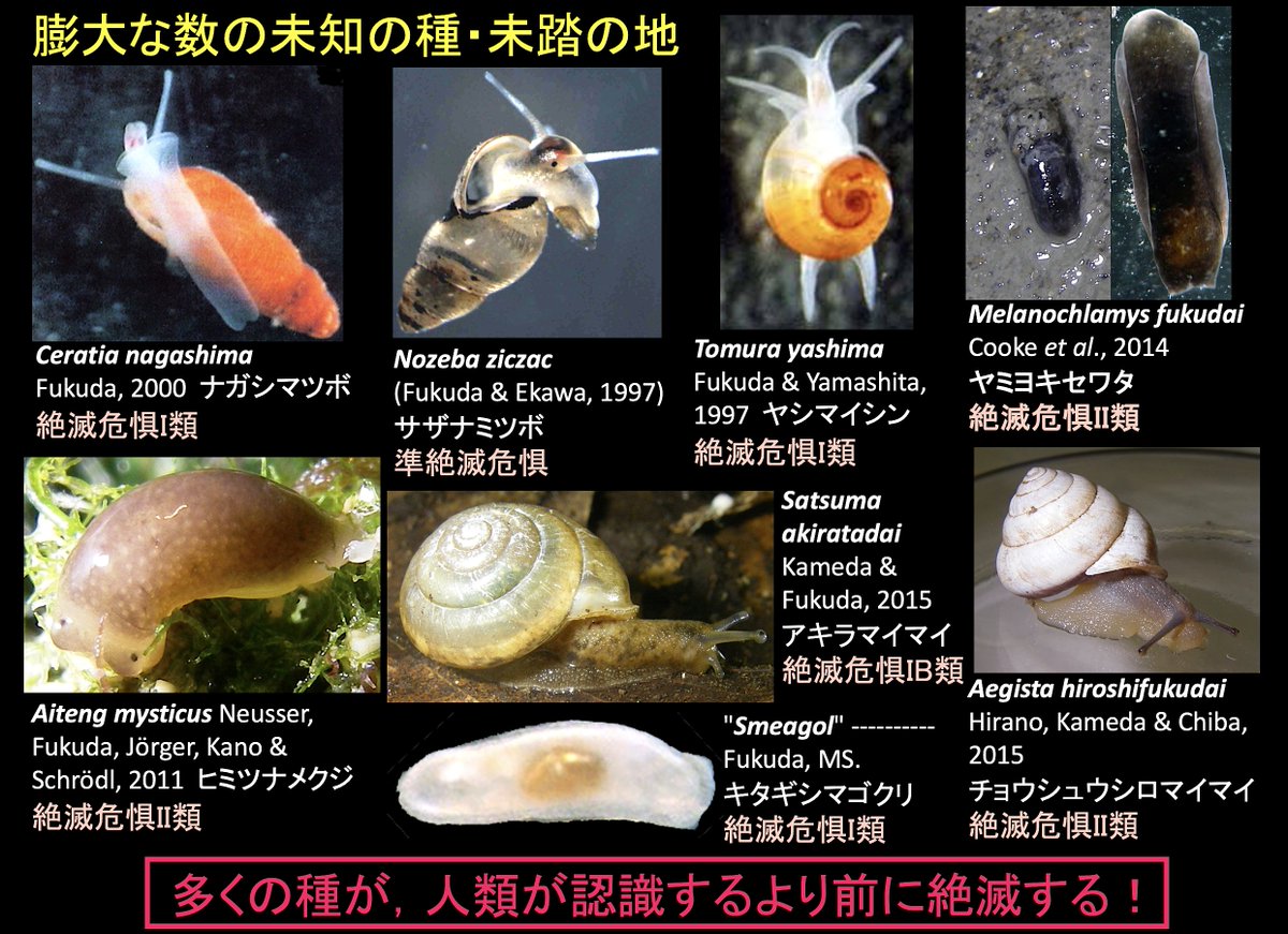今日は #国際生物多様性の日。しかし現状は、存在すらも知られていない
