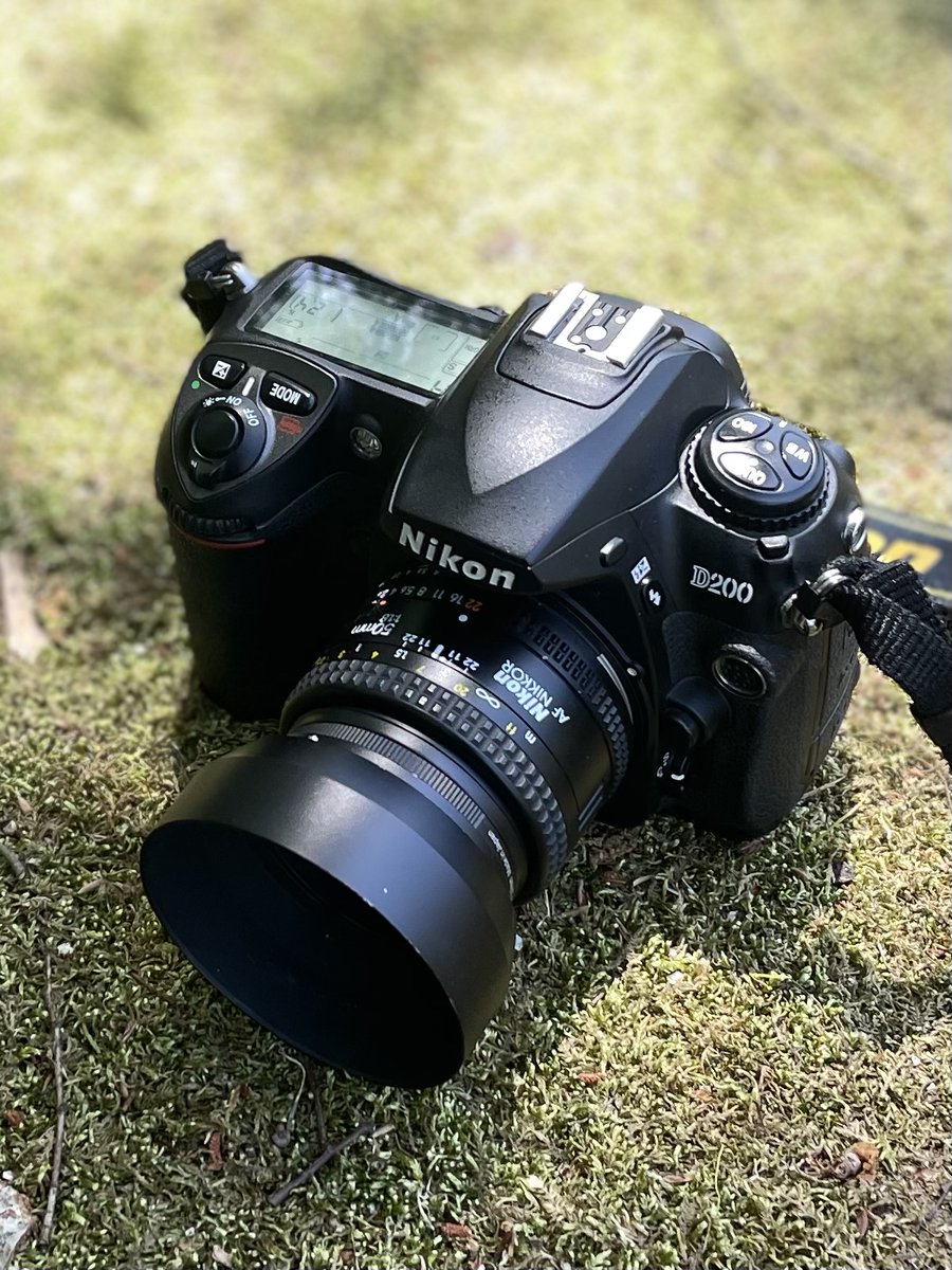 うちのNikon D200のシャッター回数は28,000回ちょっと。まだまだこれから💪