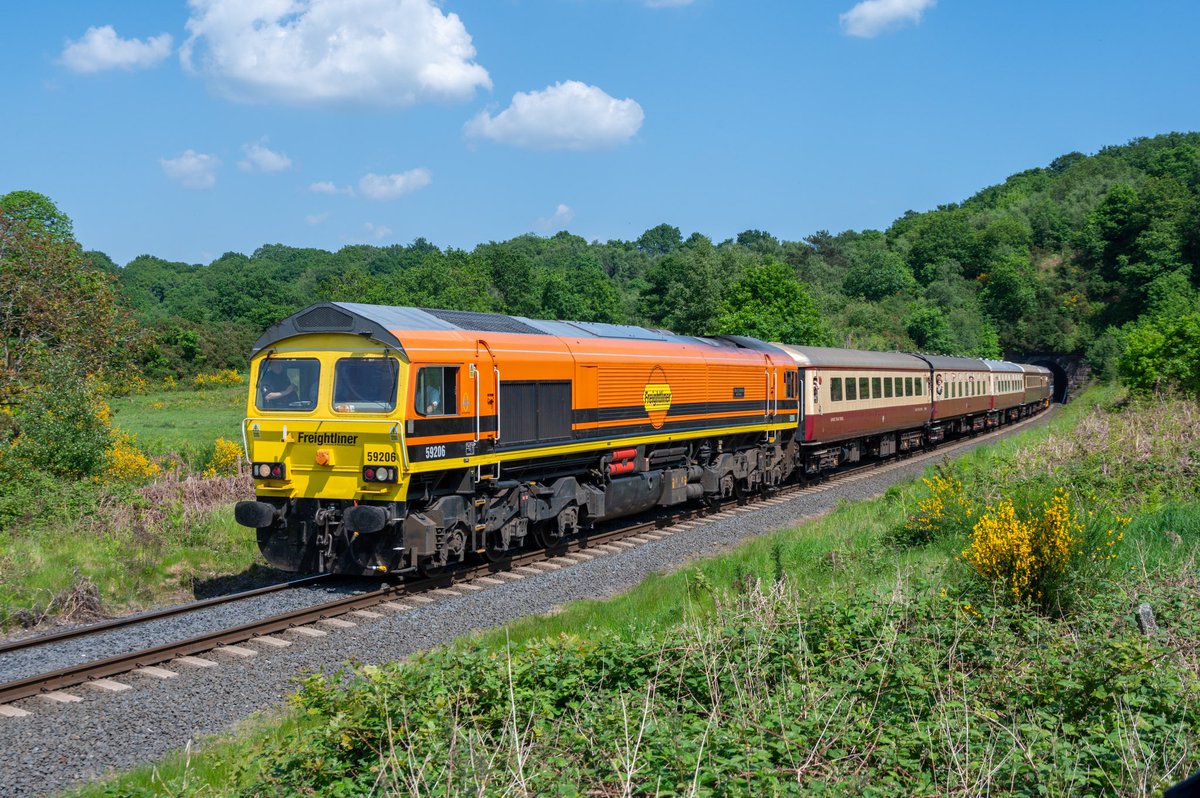 Super Power, 59206 makes easy work with the 13:30 Kidderminster to Bewdley service bursting out of Bewdley tunnel. 19th May 2024. 📸 ☀️ @SVRDiesels ⭐️ Gift Store ⬇️🏞️🚂 railwayartprintshop.etsy.com #class59 @RailFreight @svrofficialsite