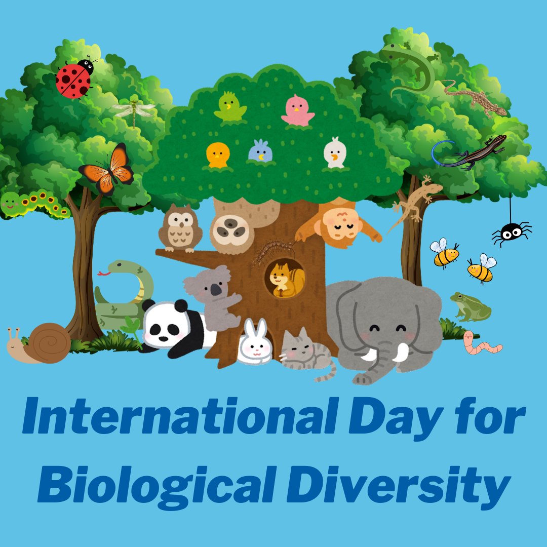 🌿 Celebrating International Biodiversity Day! 🌏 Let's protect the incredible variety of life on our planet. Together with the Aviva Community Fund, we're investing in a greener, more sustainable future. If you would like to get involved, please donate at avivacommunityfund.co.uk/p/wildlife-war…