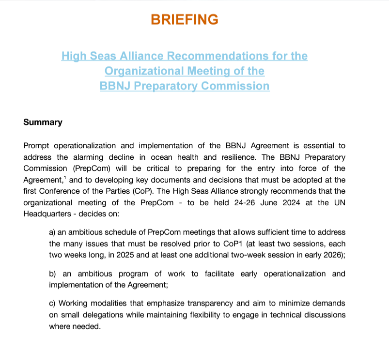 Just in time for #BiodiversityDay: @HighSeasAllianc recommendations for the #BBNJ PrepCom, which will be crucially important to speed up operationalization of the #BBNJ #HighSeasTreaty & ensure it can do its #partoftheplan to protect #biodiversity. Link: highseasalliance.org/wp-content/upl…