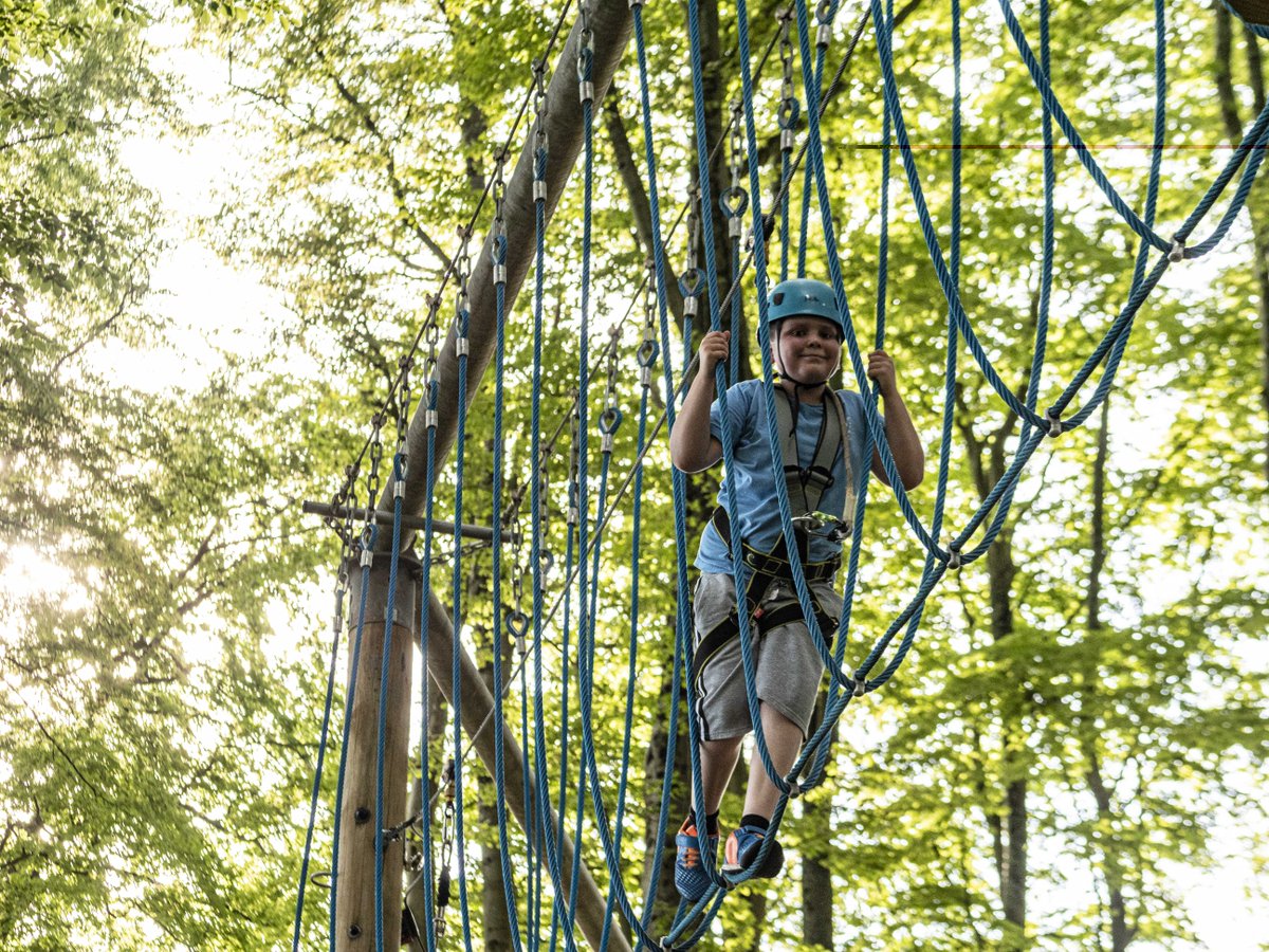 🌳 CoedLan will be open every day during half term! Climb, swing, balance and wobble your way through the trees, and see the sights of St Fagans from above before zipping back down to earth. Tickets 🎟️bit.ly/4auIiMi