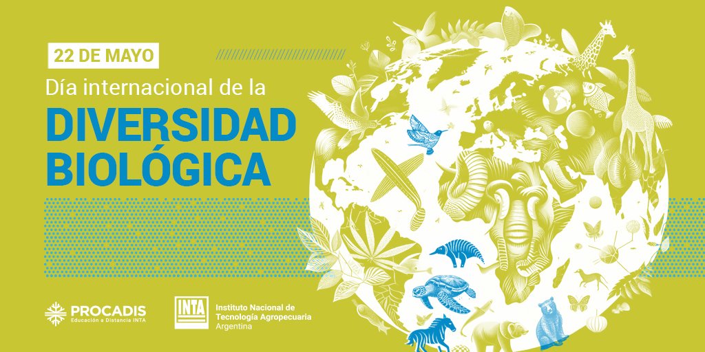 Acciones para cuidar la Diversidad Biológica:
-Usar recursos que ofrece la naturaleza de forma sostenible.
-Reducir consumo excesivo y reciclar.
-No causar impacto alguno cuando se visiten espacios naturales.
-Utilizar productos que conlleven impacto reducido al medio ambiente.