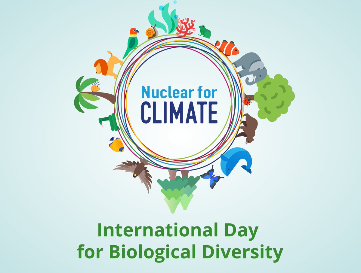 🌍 Celebrating the @UN International Day for Biological Diversity 🌺

🤩⚛️🌱 Did you know? #nuclear tech supports #SDG14 🐠 Life below water & #SDG15 🐘 Life on land, preserving #biodiversity!

🔍 How? 🤔

#BiodiversityDay #TogetherIsBetter #NetZeroNeedsNuclear #ClimateHero