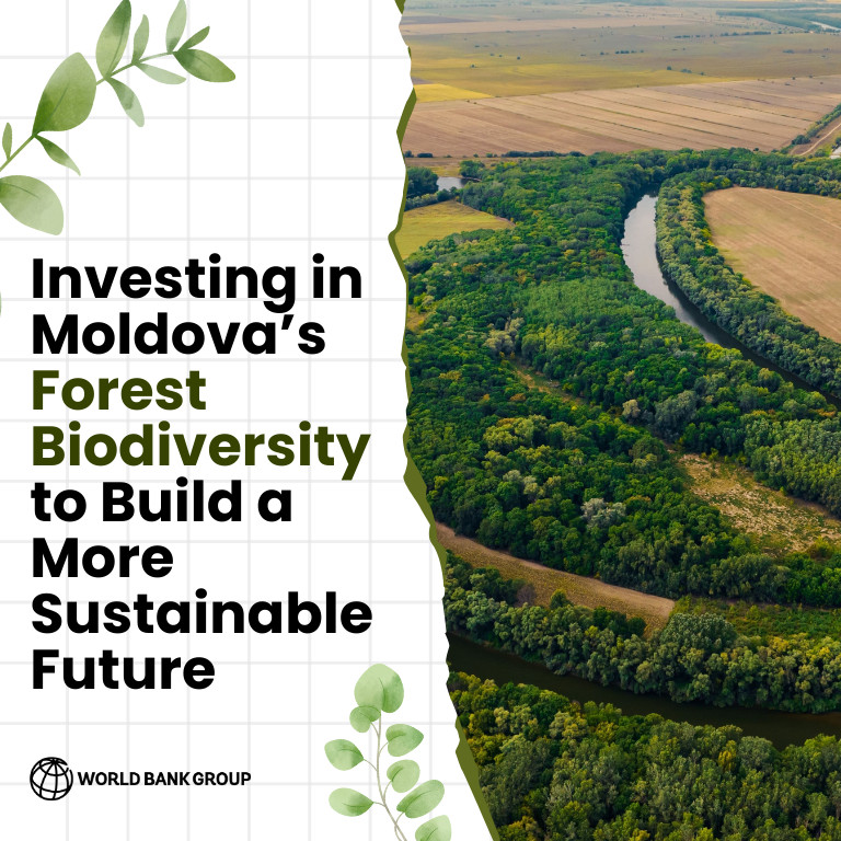 Forests are vital to Moldova’s economy and environmental well-being, providing shelter to 80% of the country’s biological diversity. For #BiodiversityDay, learn how the @WorldBank and @eu_near are helping the country invest in conserving its woodlands: wrld.bg/KIAm50RQJOc
