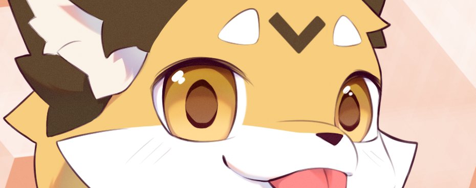 向量_Vector tweet media