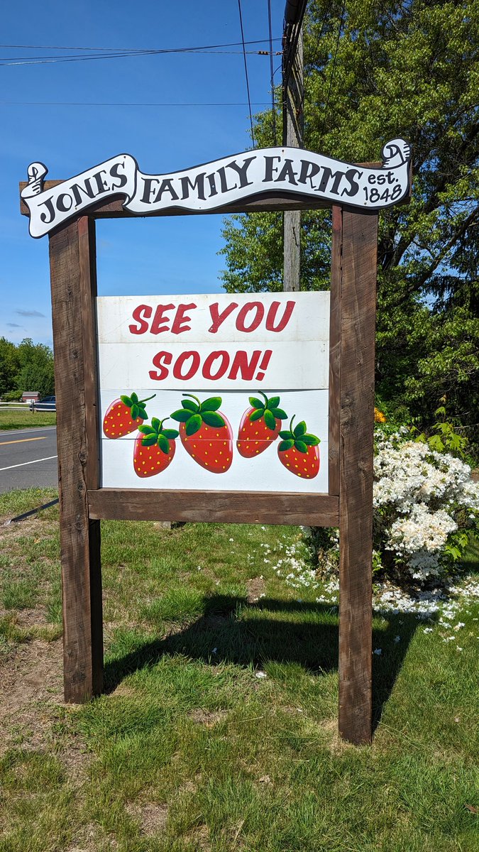 JonesFamilyFarm's tweet image. "Strawberry School" starts today for our summer college students. The IMPORTANT details regarding upcoming season are on our WEBSITE.  (Photo 5/21)