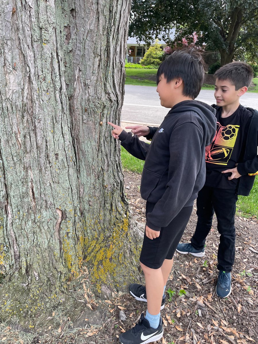 Mrs. Talbot tweet media