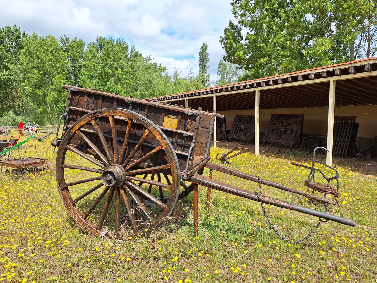CEIP CAMPO CHARRO tweet media