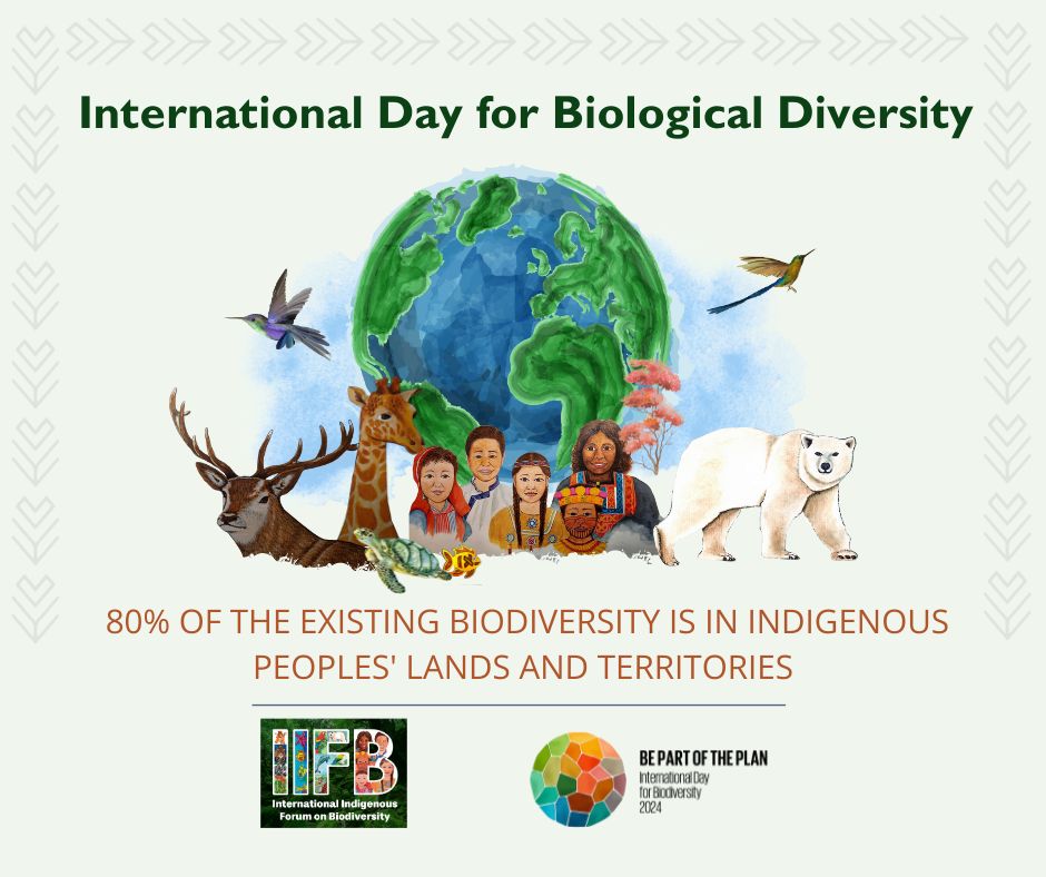 #Indigenous Peoples and local communities’ roles and contributions is central in the conservation and sustainable use of #biodiversity. #PartOfThePlan #BiodiversityDay #ForNature