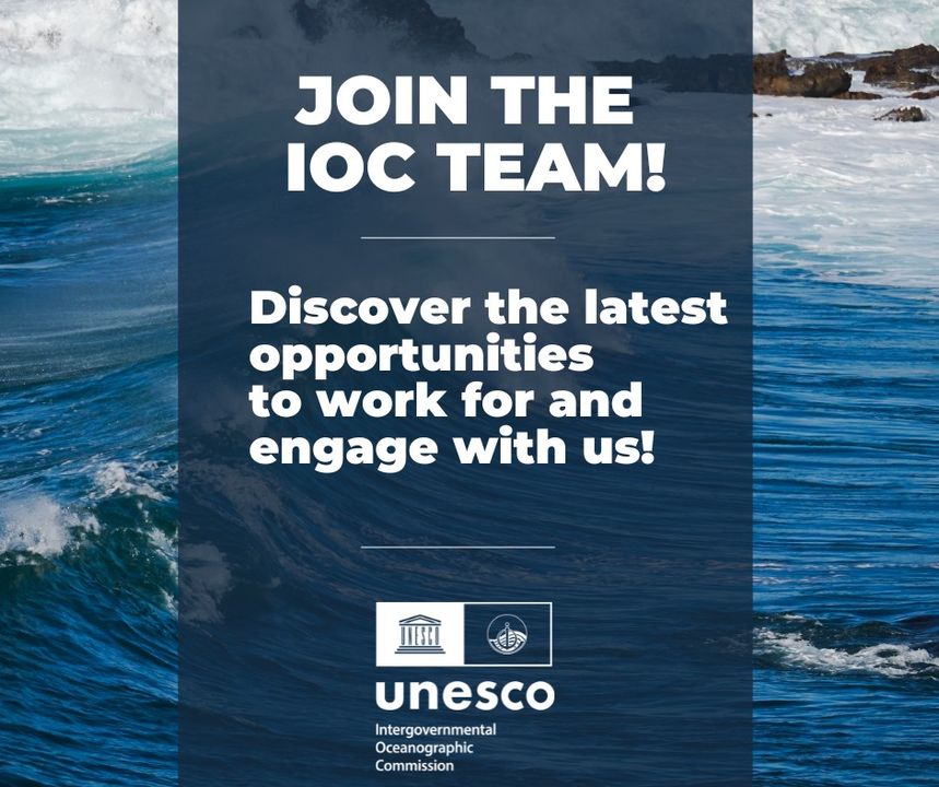 🤔 Are you interested in bringing your experience and expertise to advance #ocean #science for sustainable ocean management? 🤚Join our team! Discover current engagement and job opportunities 👉 ow.ly/gS3Q50ROHIh