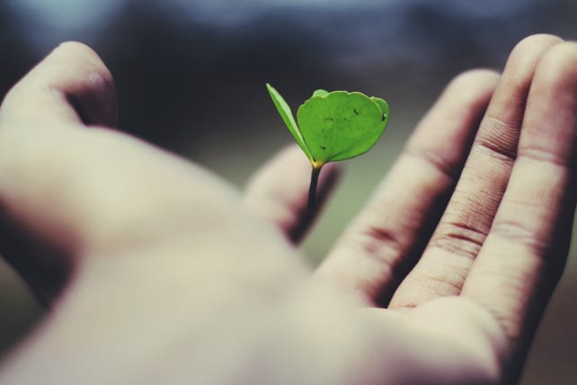 thinkertweet's tweet photo. 10 Church Growth Myths That Ruin Pastors: there are a number of subtle beliefs that still creep up that aren't healthy. In fact, they're downright superstitious and, at times, dangerous to the church. They are church growth myths. https://t.co/EuPRFpiihx https://t.co/Yq9fOJwrtq