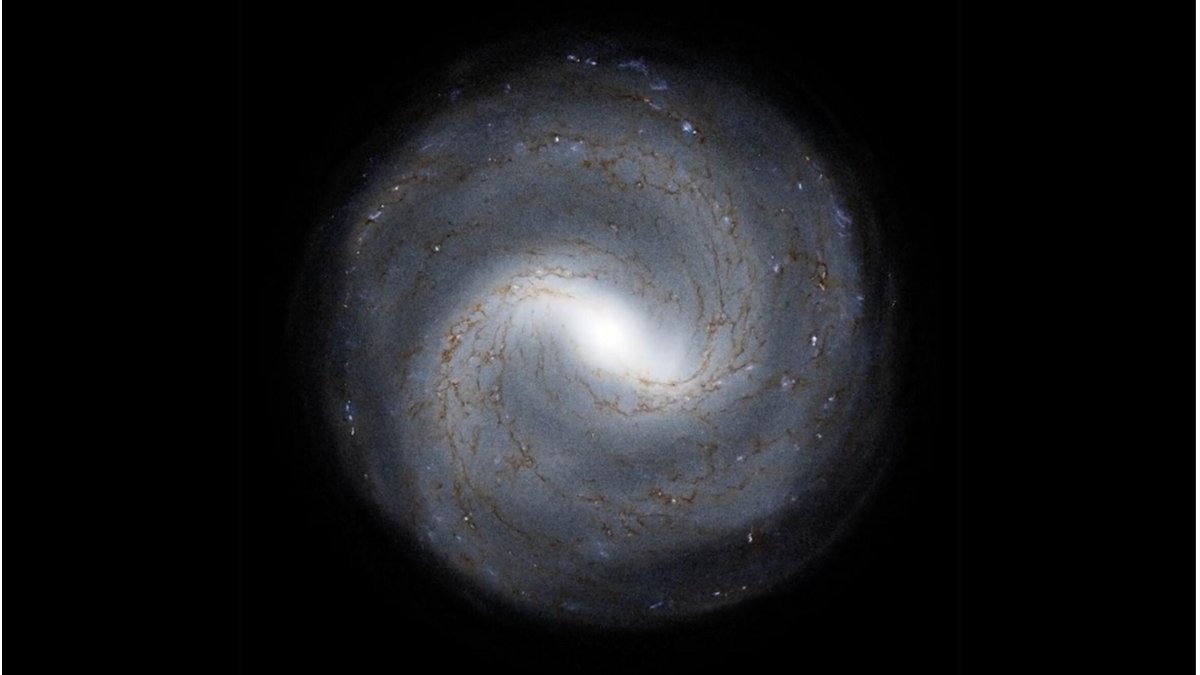 What's making the Milky Way ripple? Surrey scientists are set to study those ripples to discover the origins of our galaxy. 

ow.ly/t6P150RQzbQ

#Space #Astrophysics #MilkyWay #GaiaMission #SurreyResearch