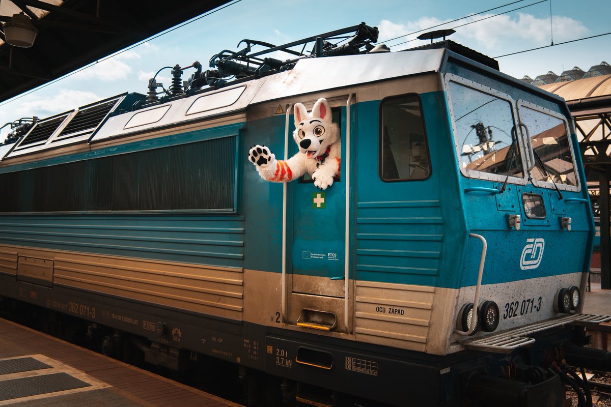 Your friendly train driver doggo waves at you 👋 💙🤍 📸 @GranyaTheCat