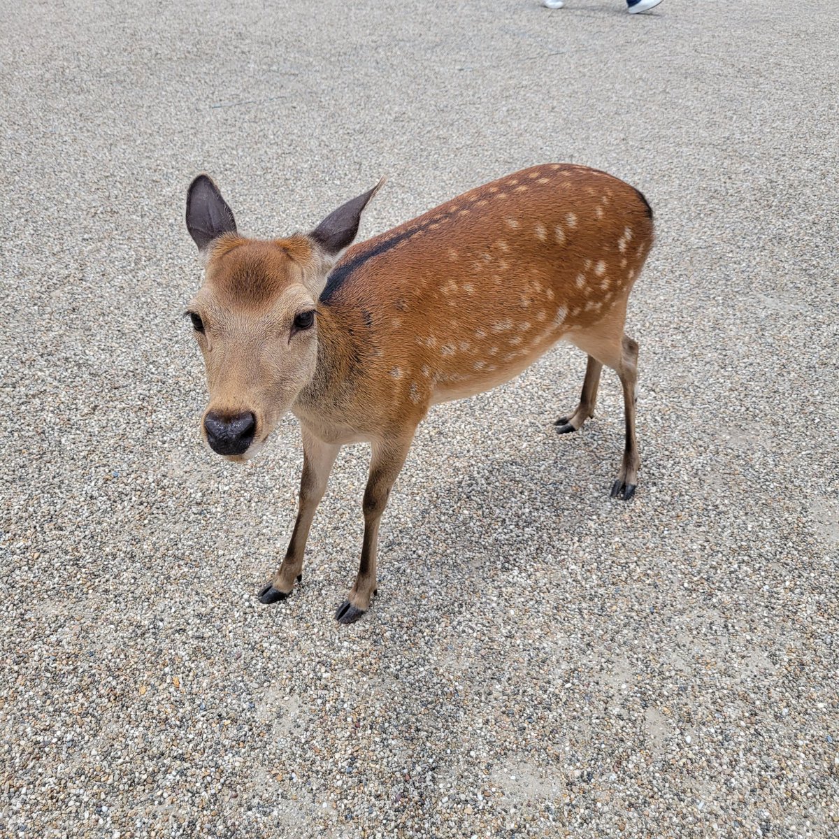 今日はお休みいただいて、リフレッシュ♪
こんな生物がいっぱいいるところに行ってました(笑)