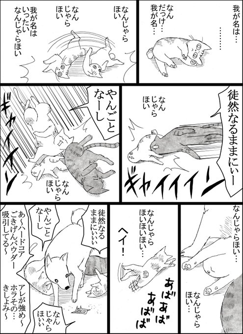 ハードコアごきげんパウダー 