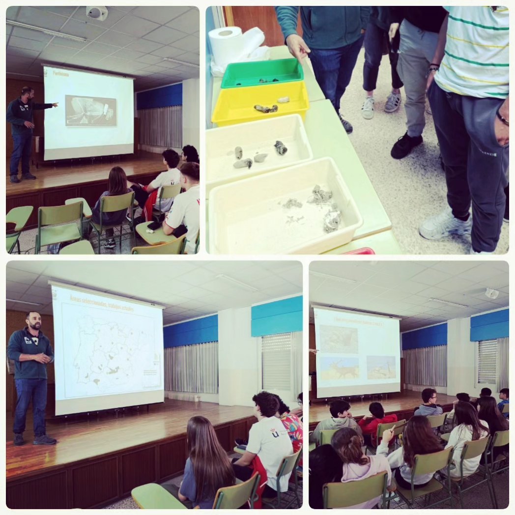 IES San Juan Bautista (@ies_sjb) on Twitter photo Feliz Día Internacional de la Biodiversidad. Los alumn@s de Biología y Geología han preparado una serie de pósters sobre especies amenazadas de nuestro país. Además, ayer, alumn@s de 1ESO y 1Bachillerato pudieron disfrutar de una charla de Ramón Pérez de Ayala, de WWF. Feliz Día Internacional de la Biodiversidad. Los alumn@s de Biología y Geología han preparado una serie de pósters sobre especies amenazadas de nuestro país. Además, ayer, alumn@s de 1ESO y 1Bachillerato pudieron disfrutar de una charla de Ramón Pérez de Ayala, de WWF.