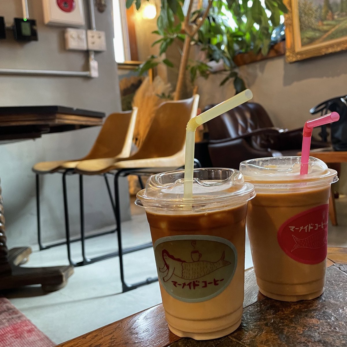 _0304m_'s tweet photo. 最近はカフェに行くことが好きになったな〜🪴☕️
#日常垢 #日常垢さんと繋がりたい https://t.co/yCcxM4yi3T